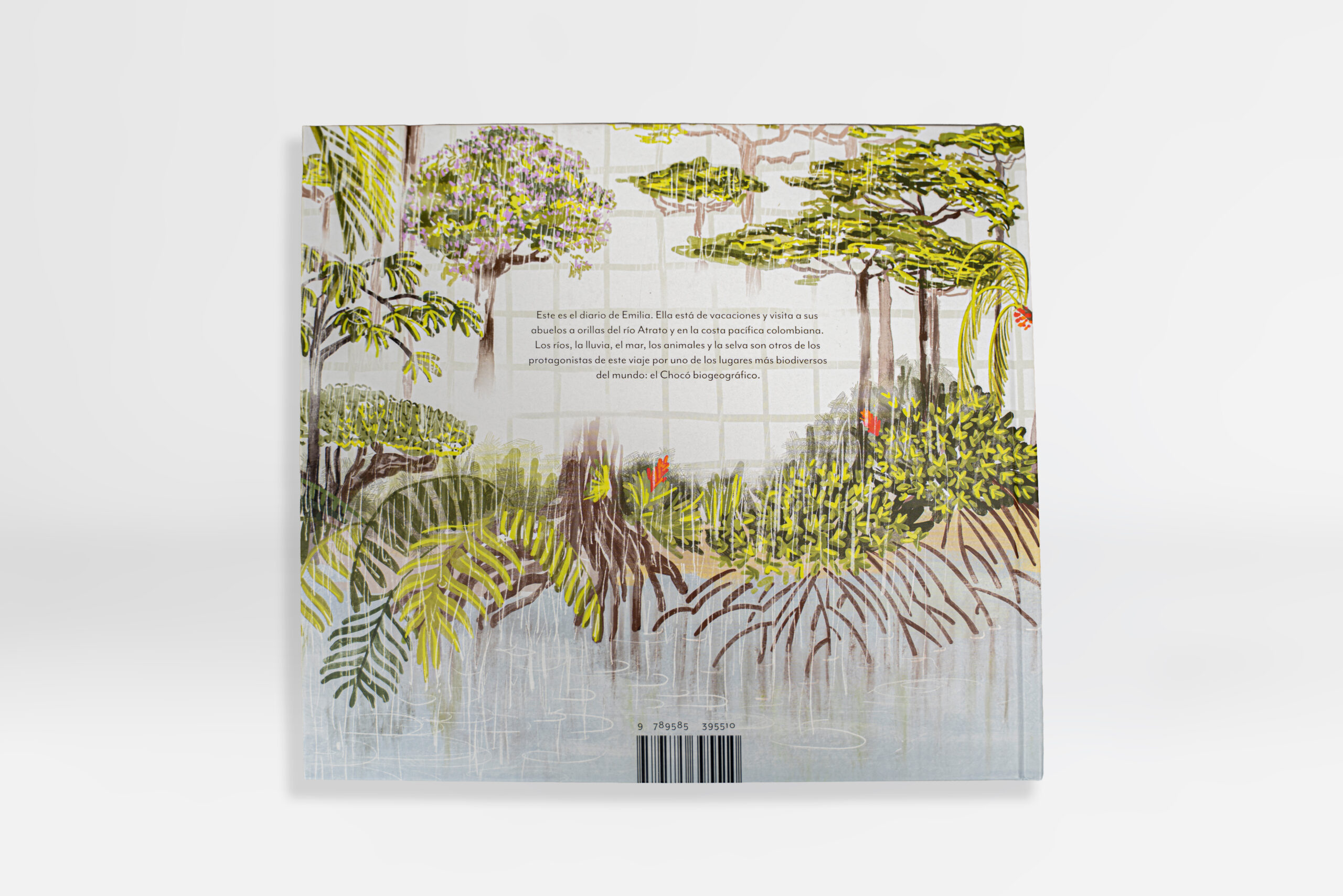 Libro Chocó: Selva, lluvia, río y mar - Imagen 2