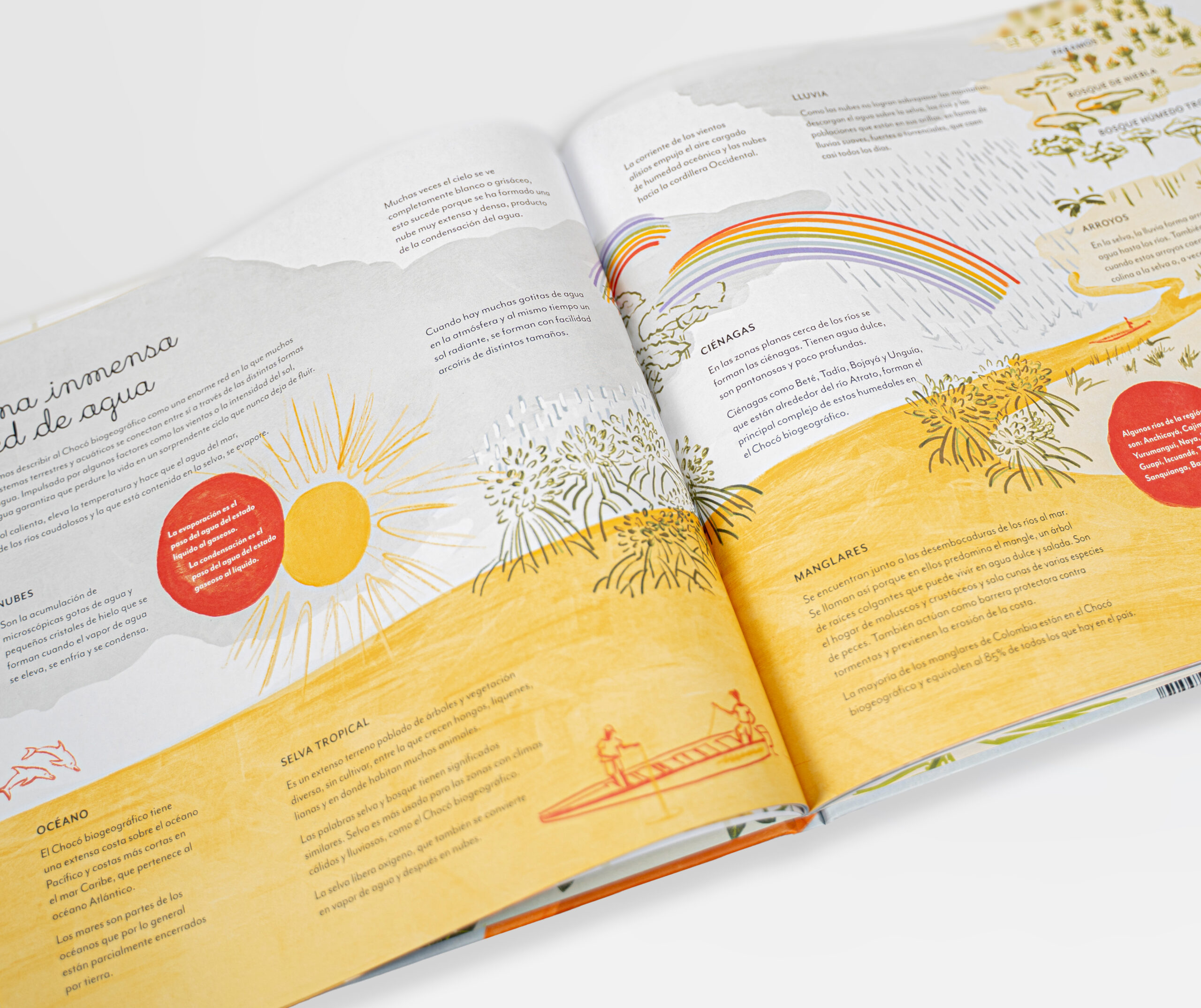 Libro Chocó: Selva, lluvia, río y mar - Imagen 3