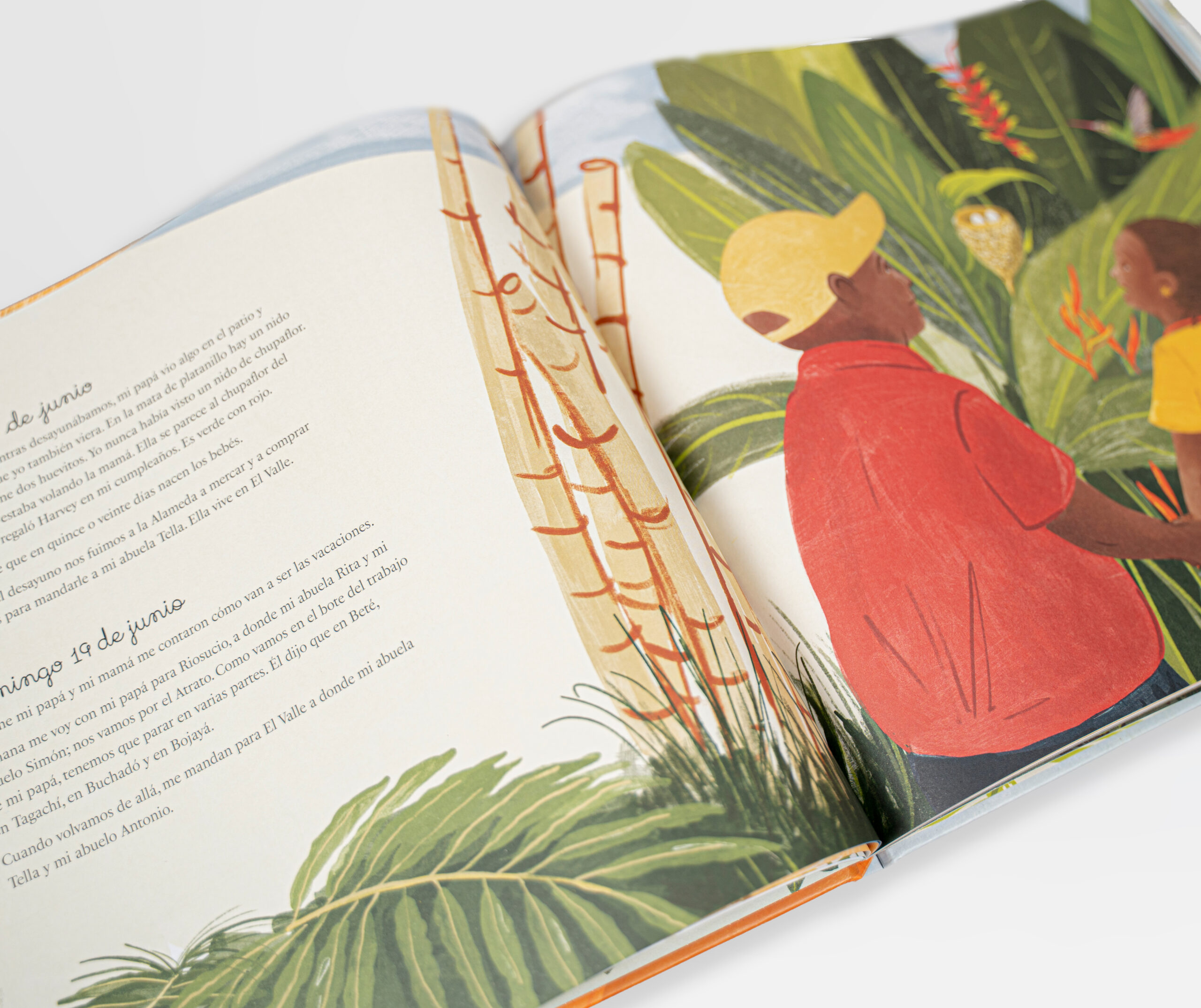 Libro Chocó: Selva, lluvia, río y mar - Imagen 4