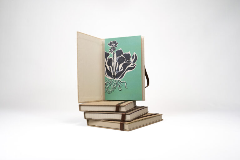 Libreta artesanal en papel de Taruya – Planta Taruya