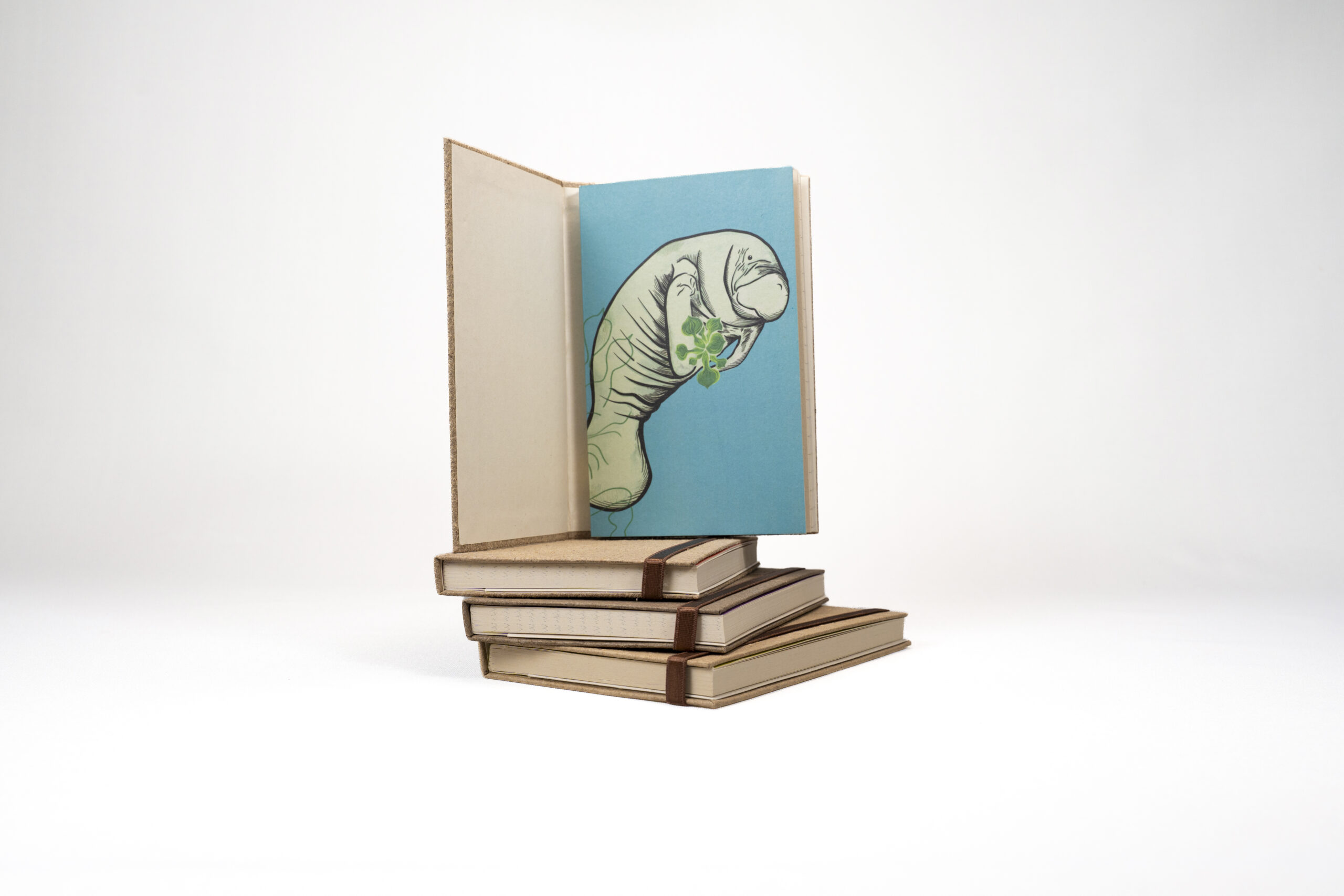 Libreta de papel de taruya — Trazos de Ciénaga