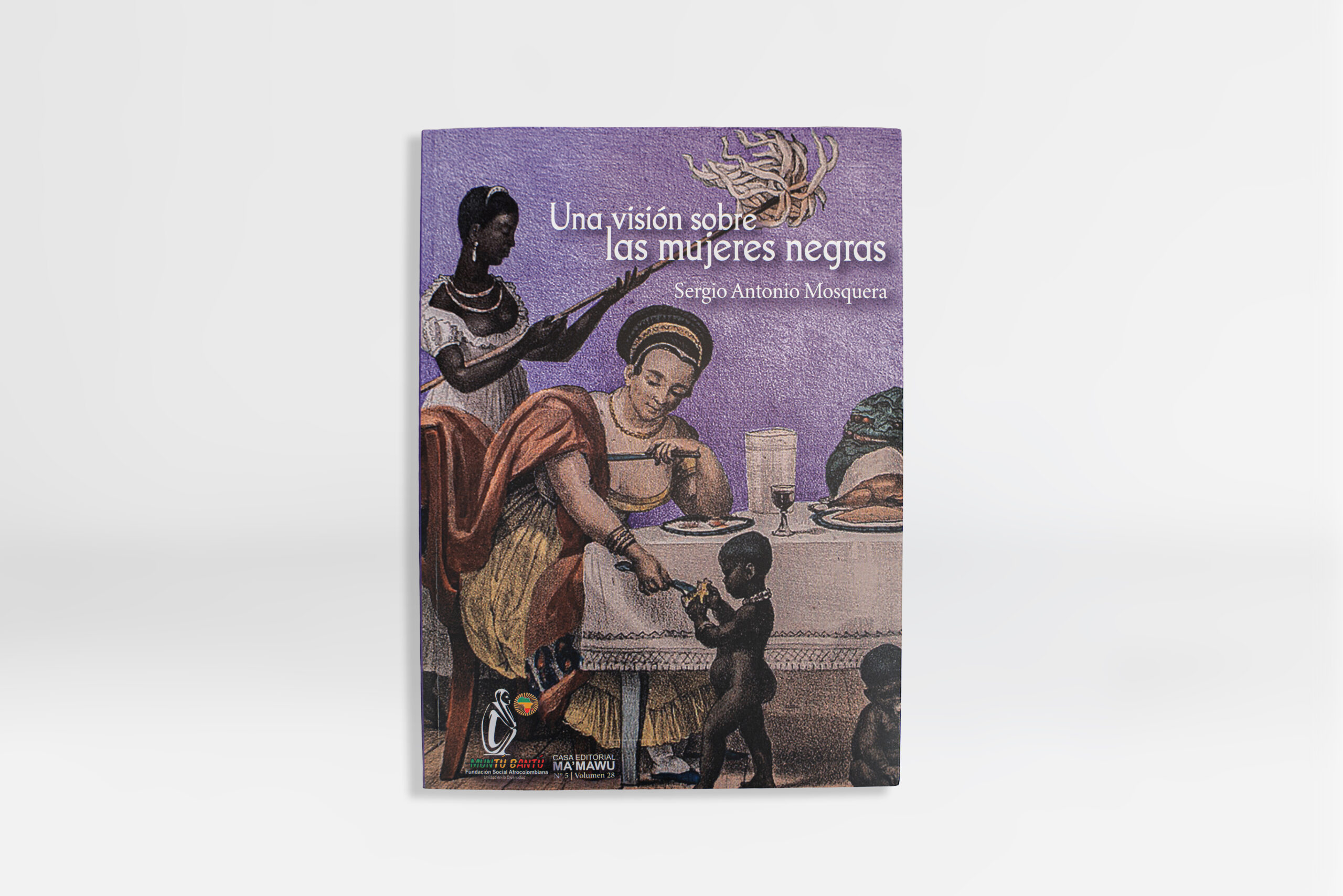 Libro Una visión sobre las mujeres negras
