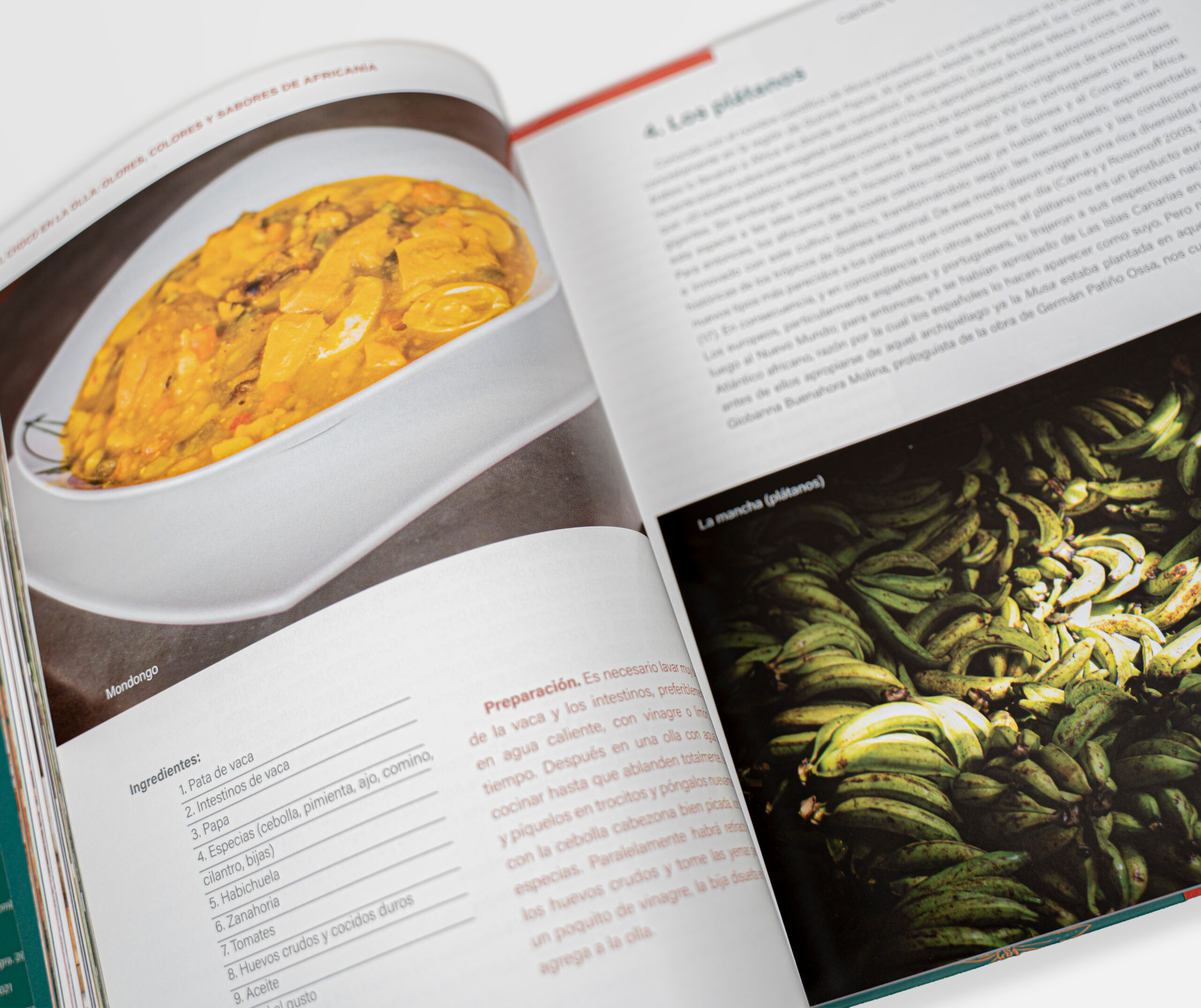 Libro El Chocó en la Olla - Imagen 2